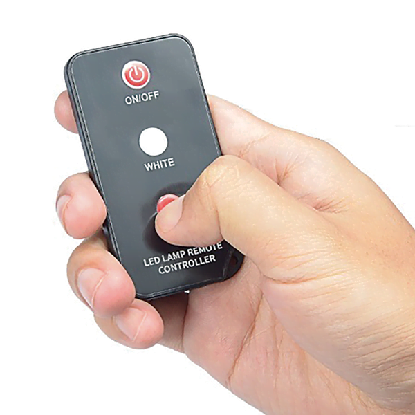 CARPSPIRIT LUZ BIWY 1