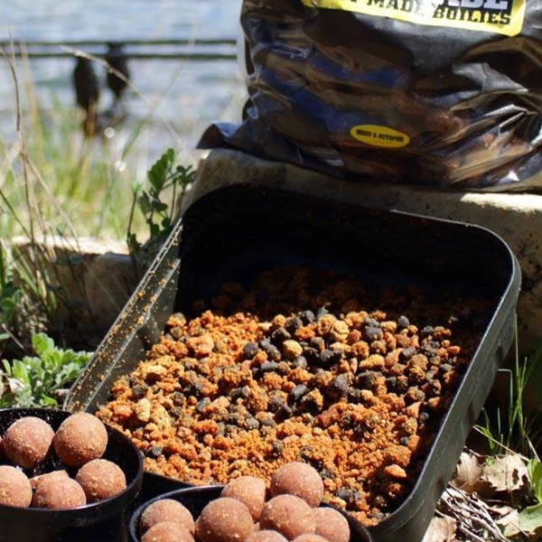 SBS EUROBASE BOILIE SQUID OCTOPUS 1