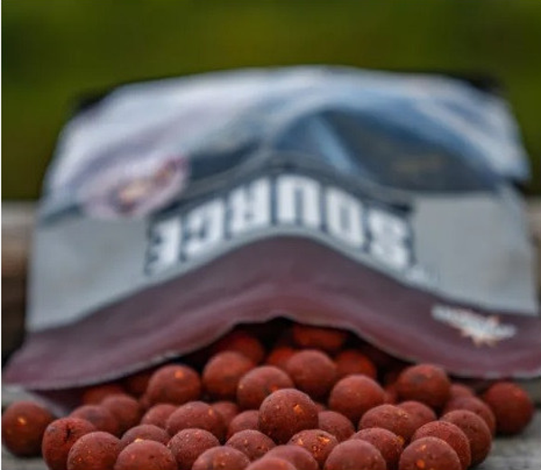 DYNAMITE BAITS THE SOURCE 20MM 1KG