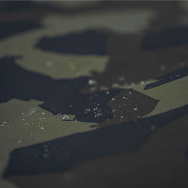 AVID-CARP-ASCENT-RS-4 AVID-CARP-ASCENT-RS-4