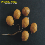 Enterprise Tackle Mini Sinking Tiger Nut