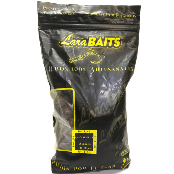 LARA-BOILIES-GAMBARUS-1