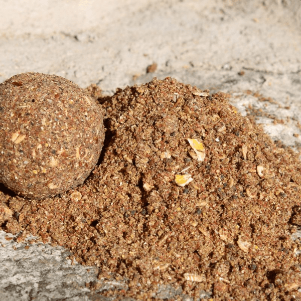 PRO-BIG-CARP-HALIBUT-1