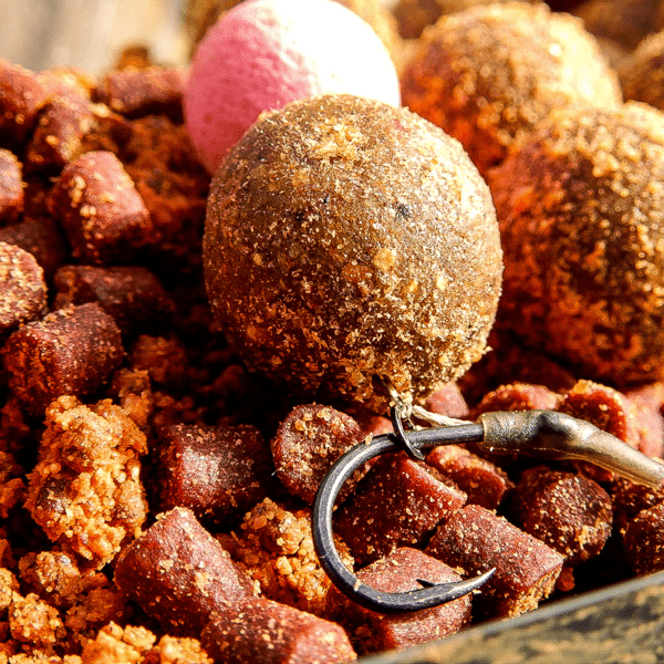 PRO-SESSION-ANTARTIC-1