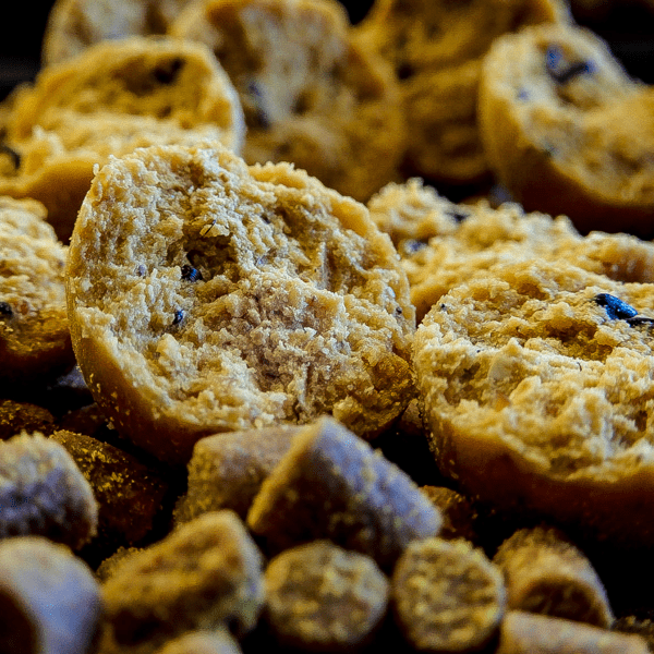 PRO-SESSION-DREAMS-1