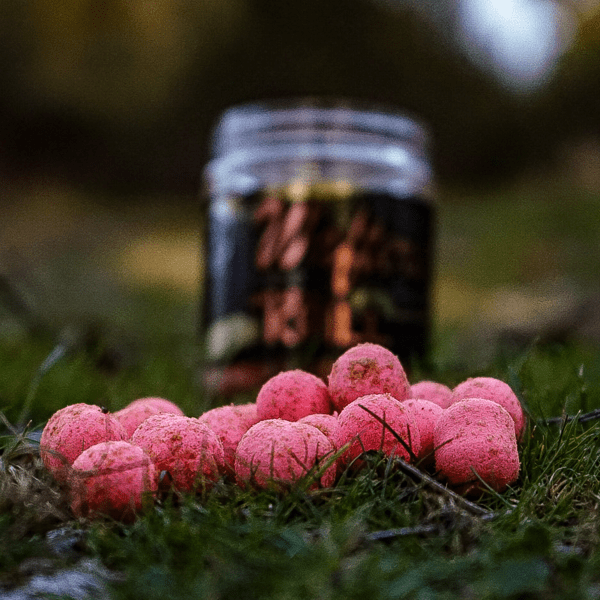 PRO-WAFTER-ANTARTIC-2