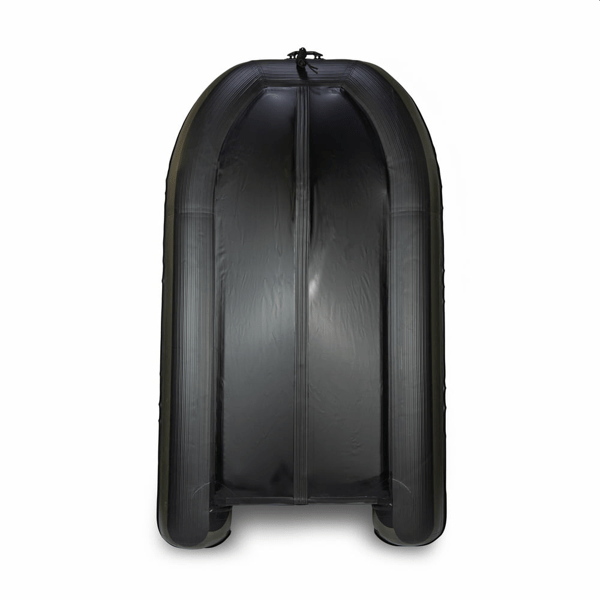 RAPTOR-270-FAST-1 RAPTOR-270-FAST-1