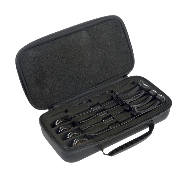 ZFISH-PENDULOS-ENIGMA-1