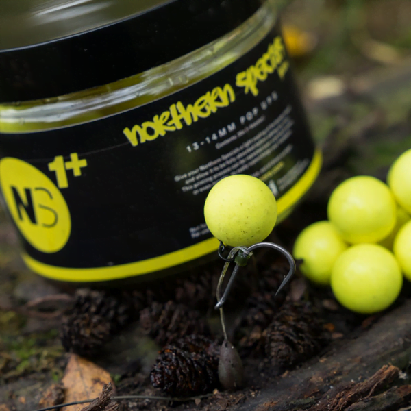 CC MOORE NS1 AMARILLO 2