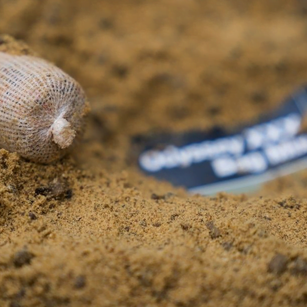 CC MOORE ODYSSEY BAG 2