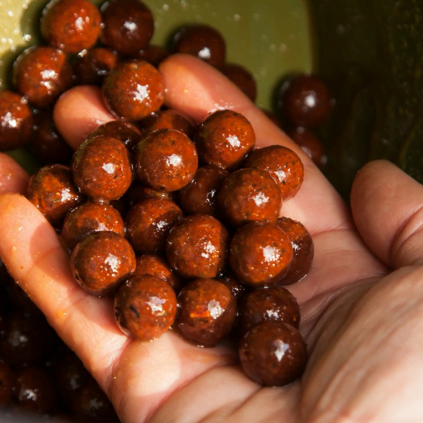 CC MOORE SESION PACK PACIFIC 2 CC MOORE SESION PACK PACIFIC 2