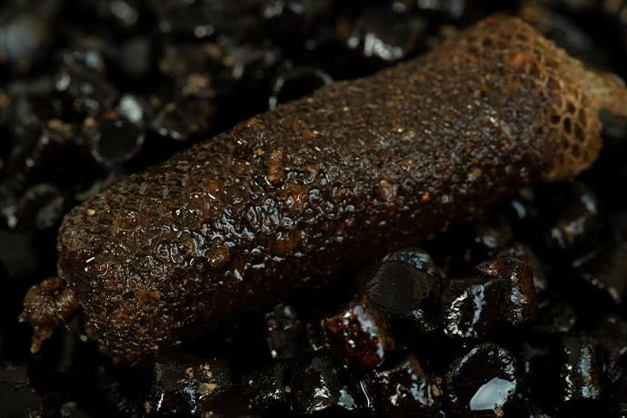 STICKY BLOODWORM CLOUDY.png1 – copia