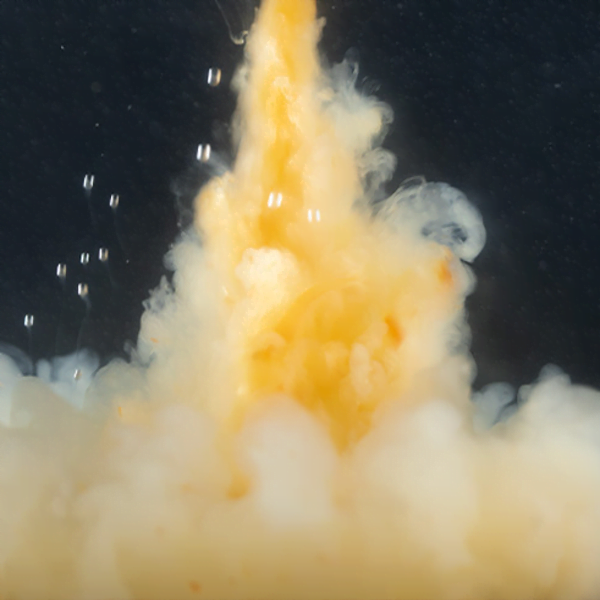 STICKY KRILL CLOUDY 2