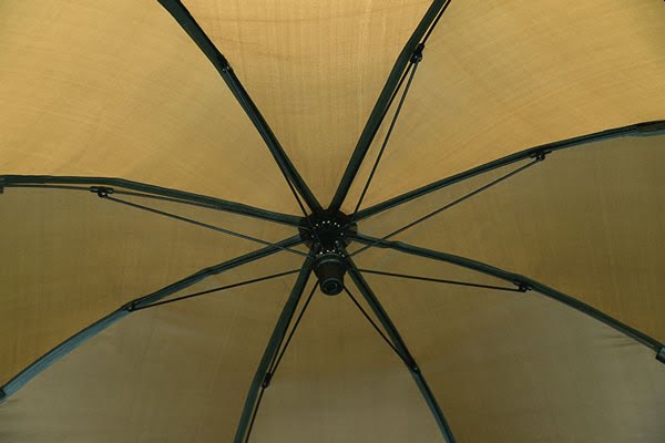 FOX BROLLY SYSTEM 5