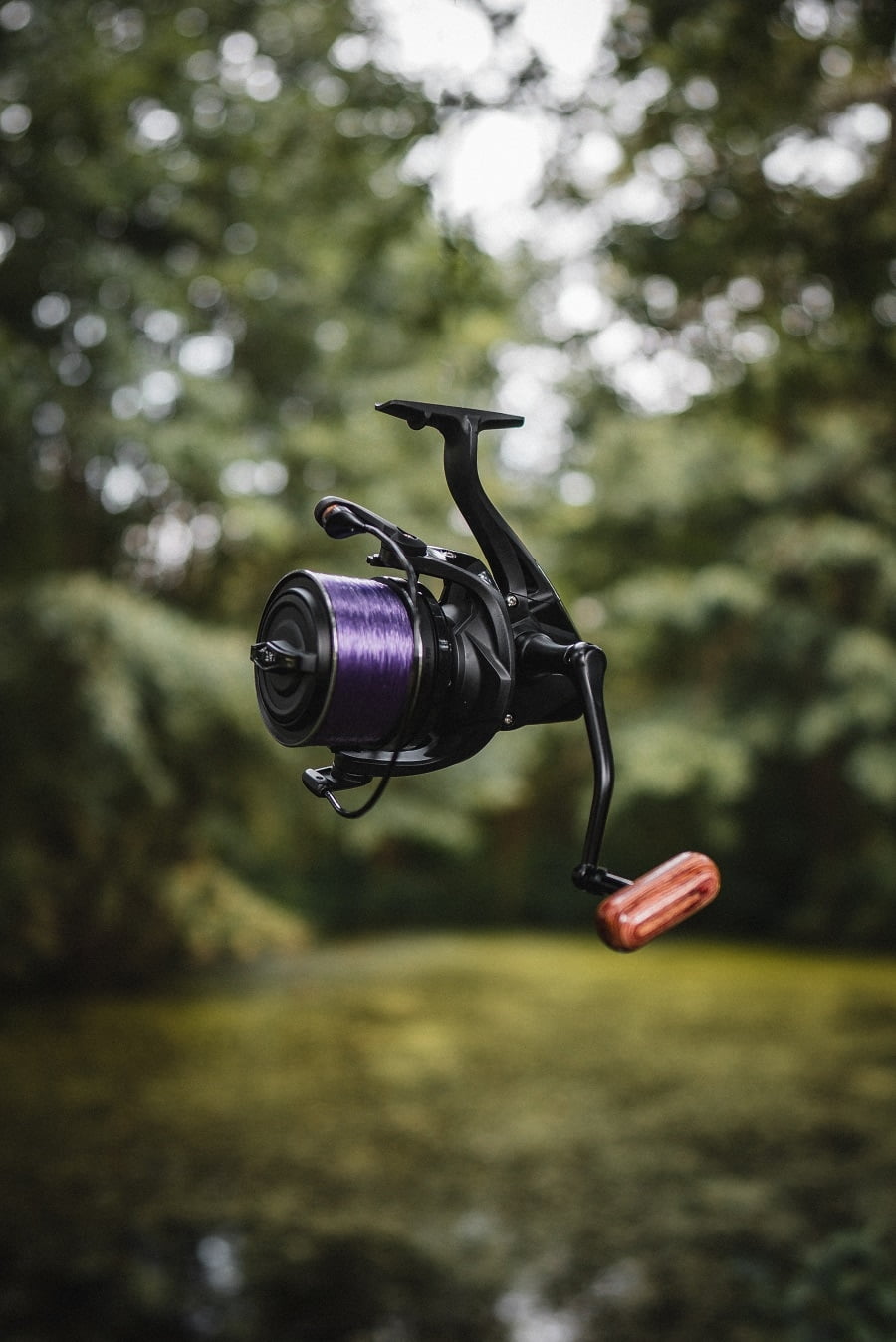 GIANTS CARRETE DELUXE FD 9000 5