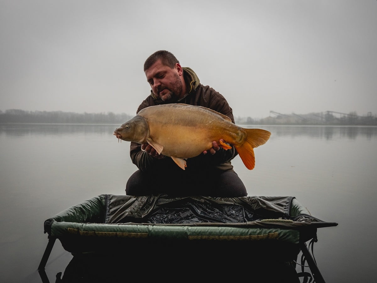 GIANTS MOQUETA VERDE 7