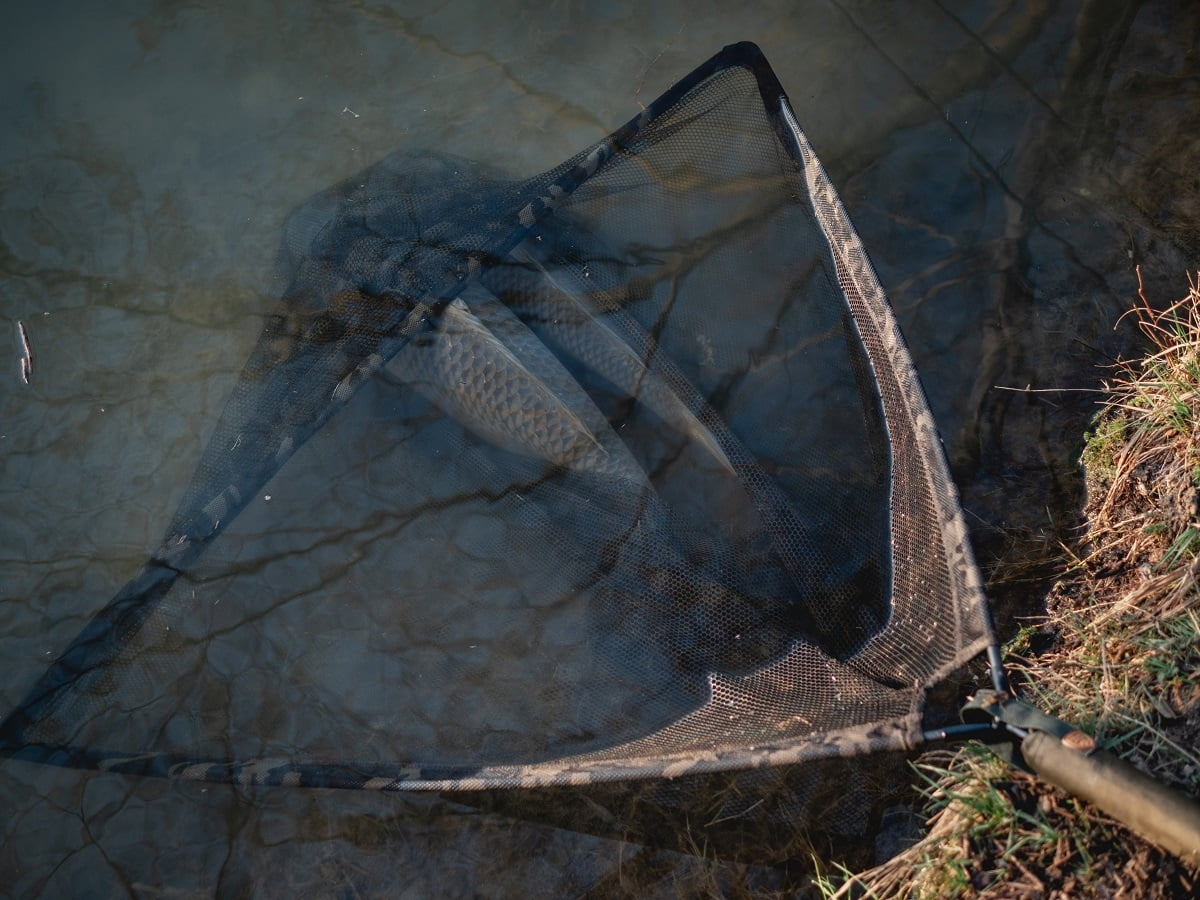 GIANTS SACADERA LUXURY 14