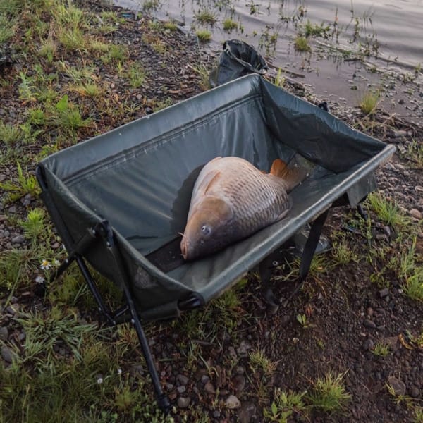 GIANTS MOQUETA DESENGANCHE 6