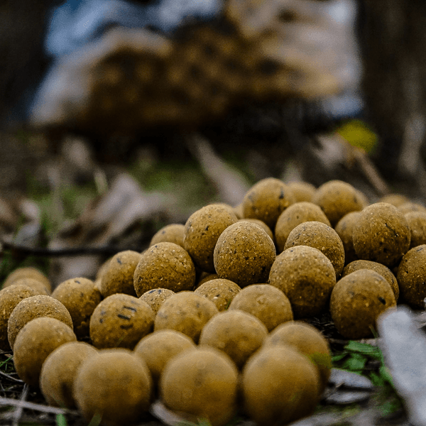 PRO ELITE CLASSIC BOILIE PIÑA SCOPEX 8KG 1