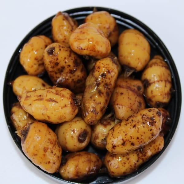 PRO ELITE GOLD BLOODY MULBERRY TIGER NUT 1