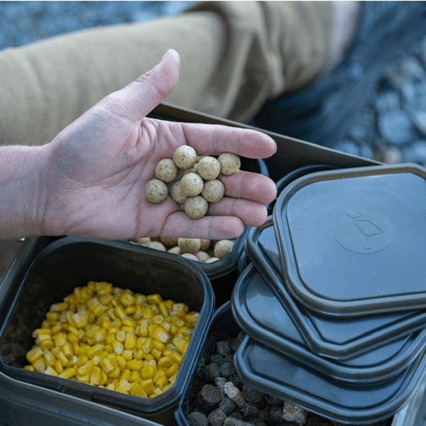 KORDA KONTAINER BAIT STORAGE SYSTEM 6