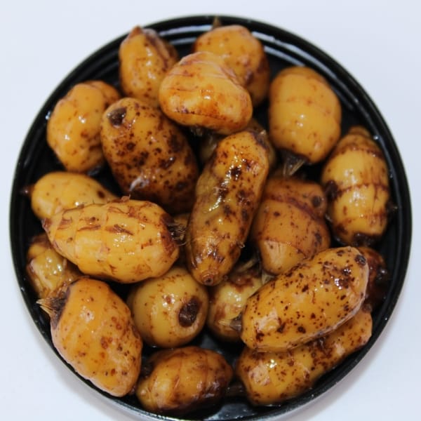 Pro Elite Baits Tigernuts XXL Melón Peach 200ml