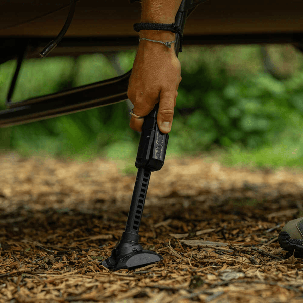 AVID CARP BENCHMARCH STANDAR SYSTEM 4