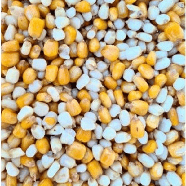 Particle For Fishing Maíz 50-50 5kg