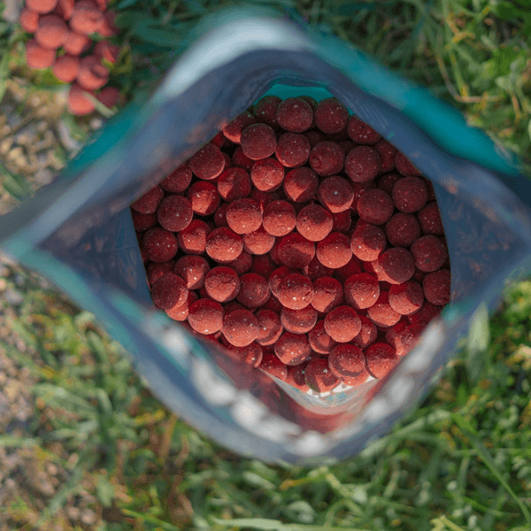 Tactica Baits Squidy Boilies 20mm 1kg