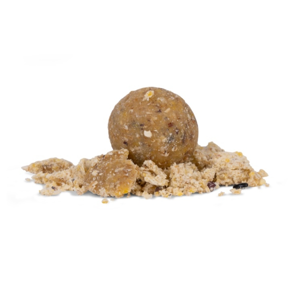 AVID CARP NUT BOILIES 5KG 3