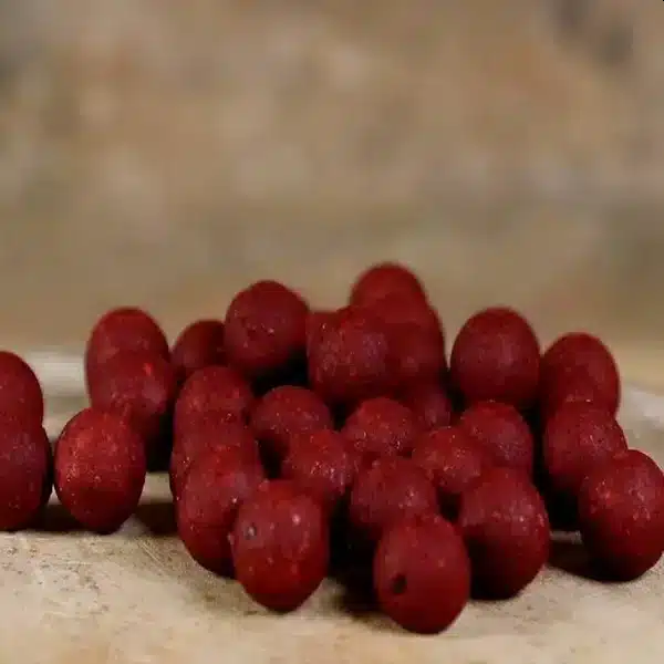 DYNAMITE BAITS BIG FISH ROBIN RED BOILIES 1