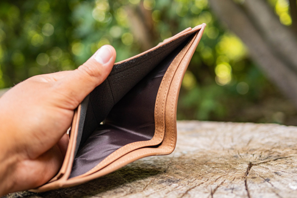 GIANTS CARTERA MARRÓN CABEZA CARPA 7